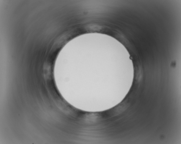 X0000113150378200910161226