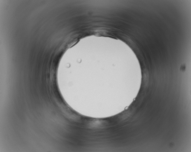 X0000113150379200910161226