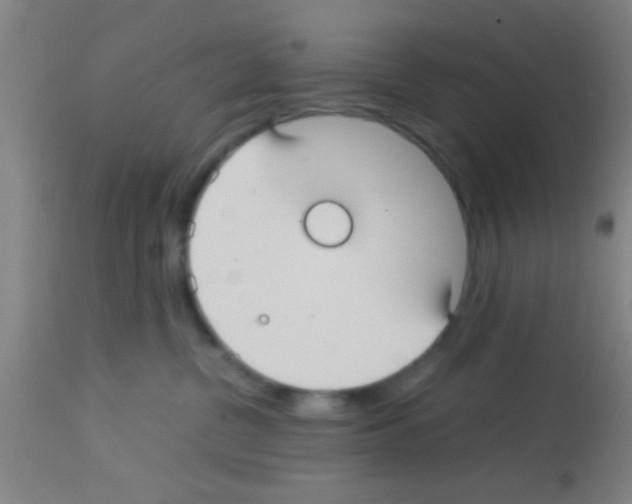 X0000113150380200910161226