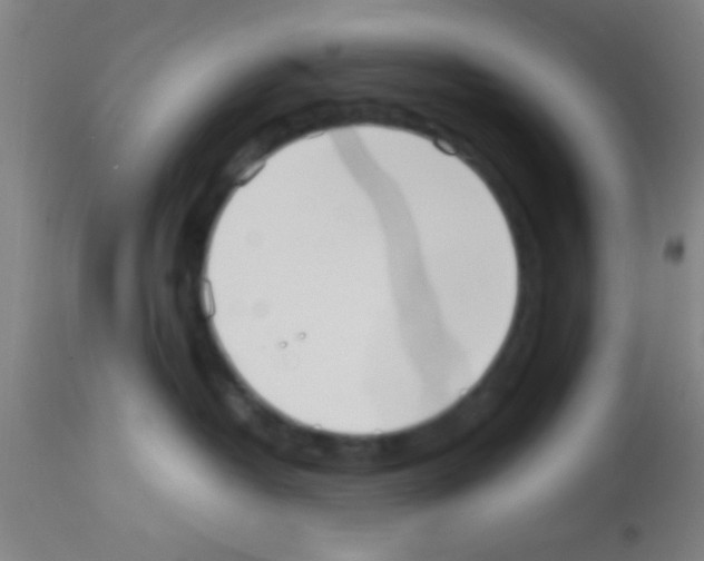 X0000113150382200910161226