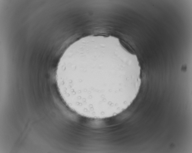 X0000113150383200910161226