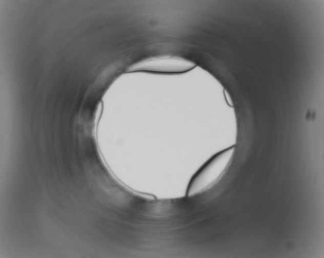 X0000113150384200910161226