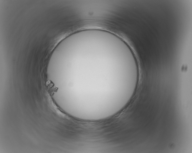 X0000113150385200910161225