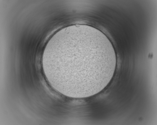 X0000113150386200910161225