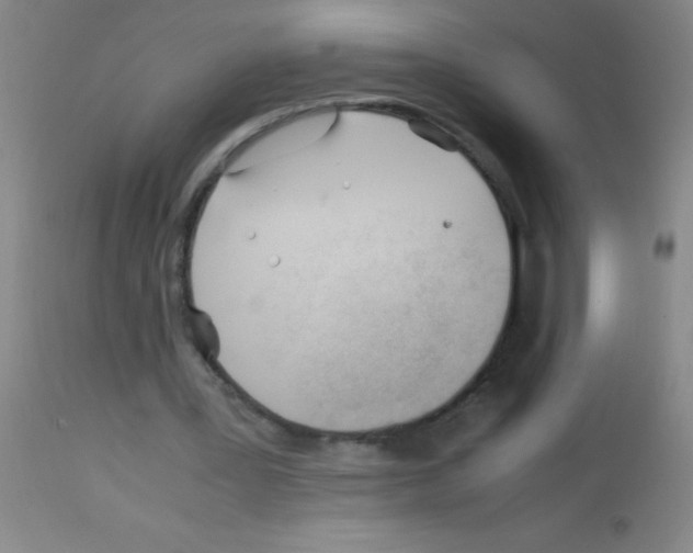 X0000113150387200910161225