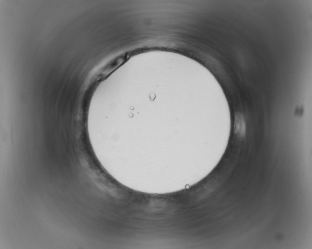 X0000113150388200910161225