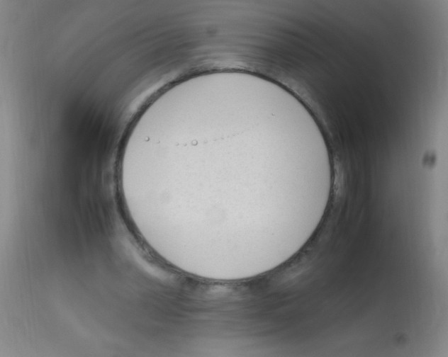 X0000113150390200910161225