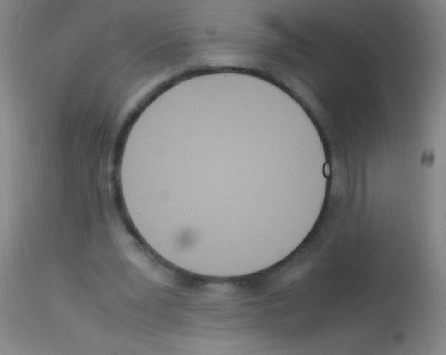 X0000113150391200910161225