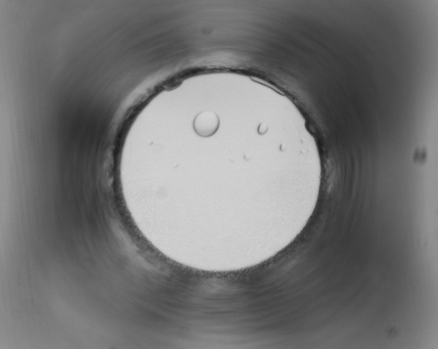 X0000113150392200910161225