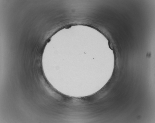 X0000113150393200910161225