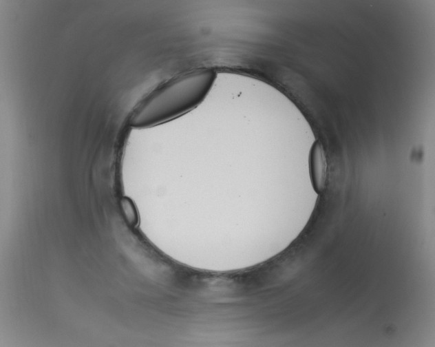 X0000113150395200910161225