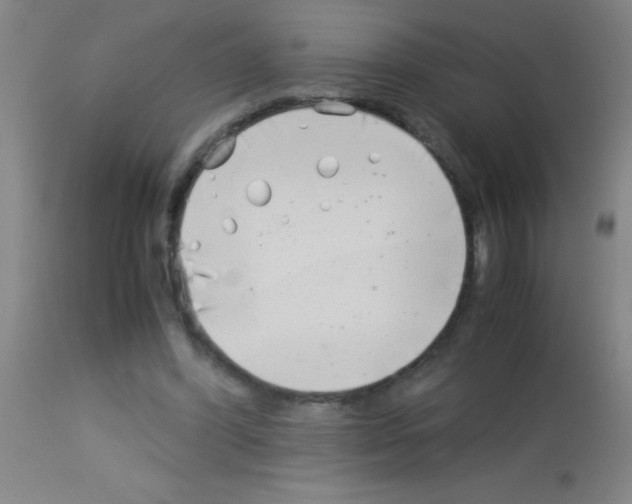 X0000113150396200910161225