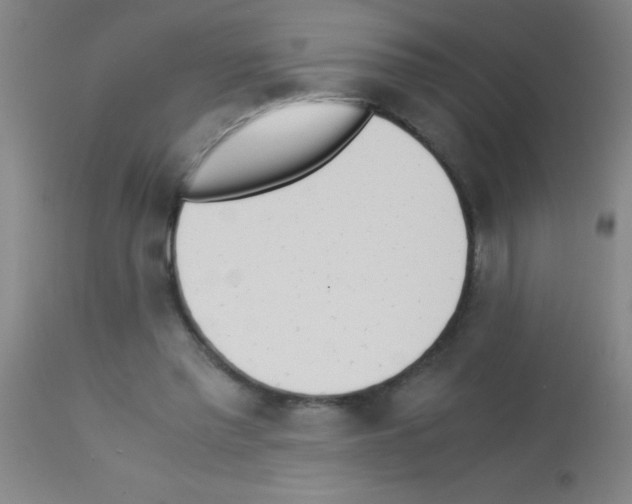 X0000113150397200910161225