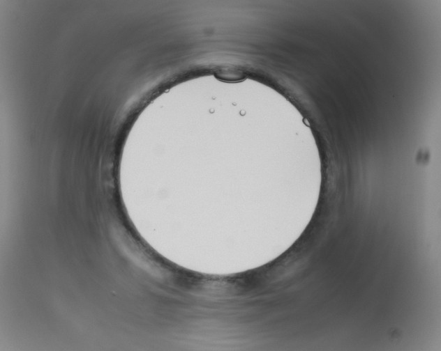 X0000113150399200910161225