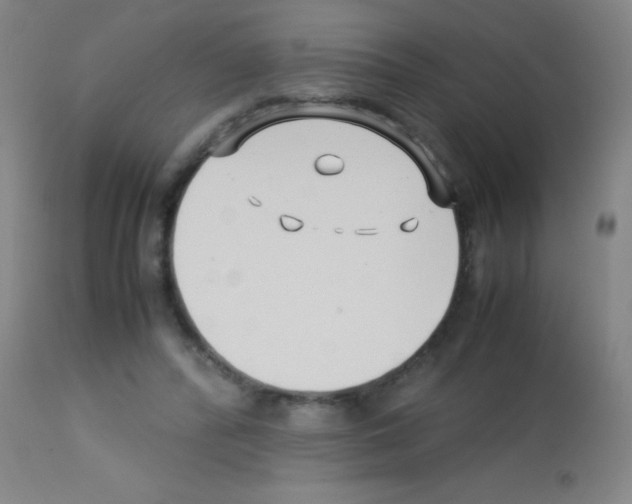 X0000113150400200910161225