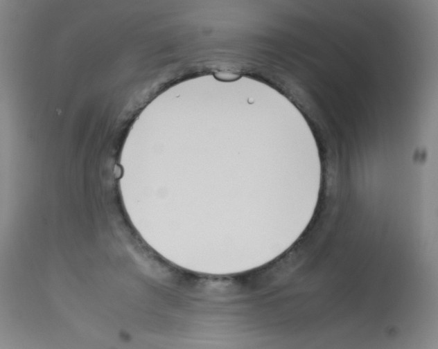 X0000113150401200910161225