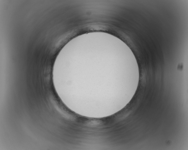 X0000113150402200910161225