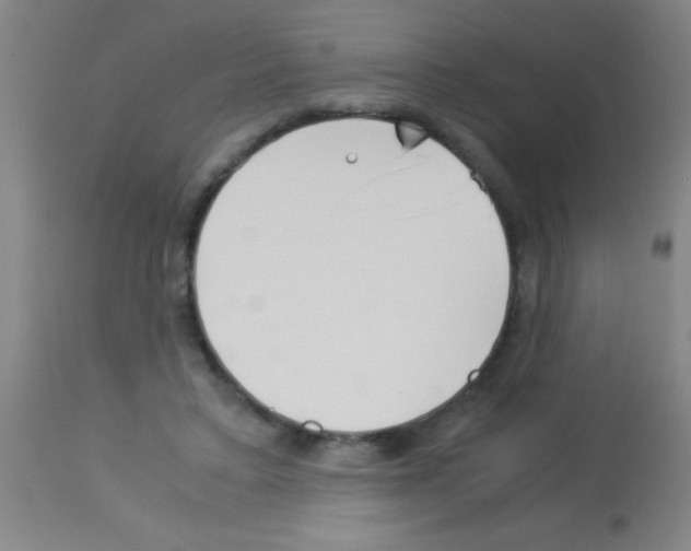 X0000113150403200910161225