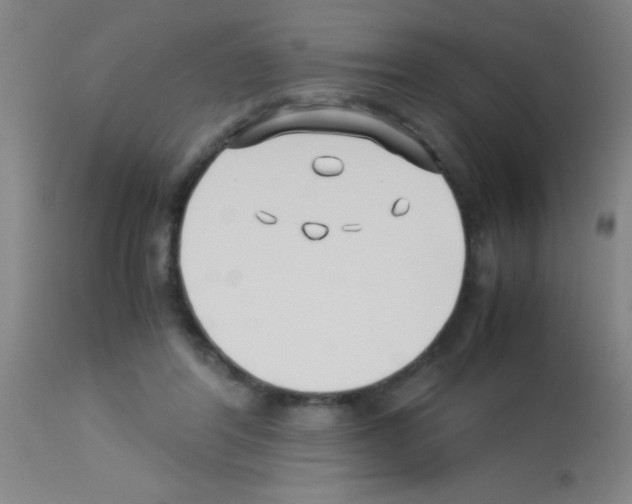 X0000113150404200910161225