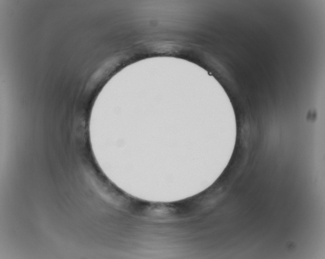 X0000113150407200910161225