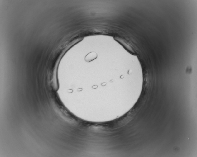 X0000113150408200910161225