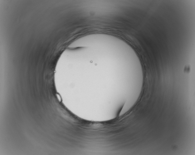 X0000113150409200910161225