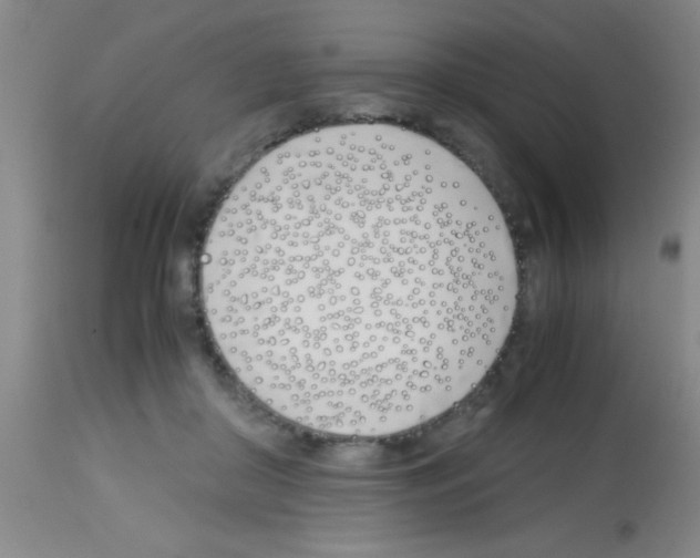 X0000113150410200910161225