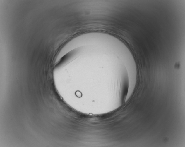 X0000113150411200910161225