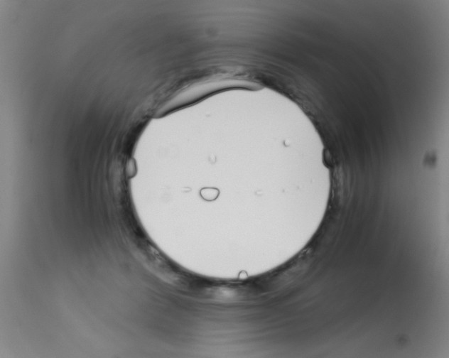 X0000113150412200910161225