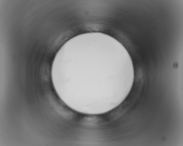 X0000113150414200910161225