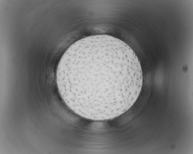 X0000113150418200910161225