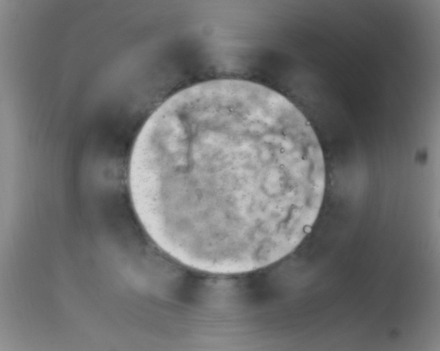 X0000113150419200910161225