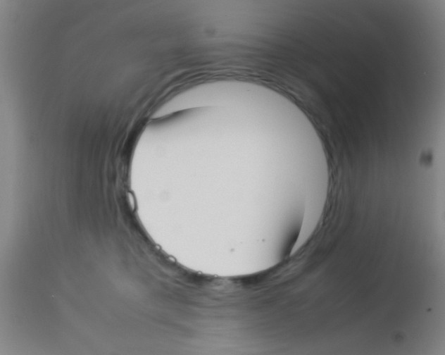 X0000113150421200910161225