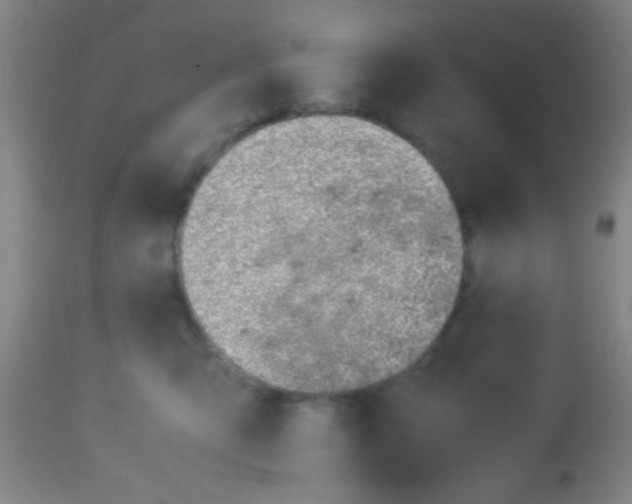 X0000113150423200910161225