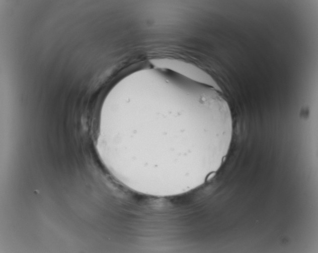 X0000113150424200910161225