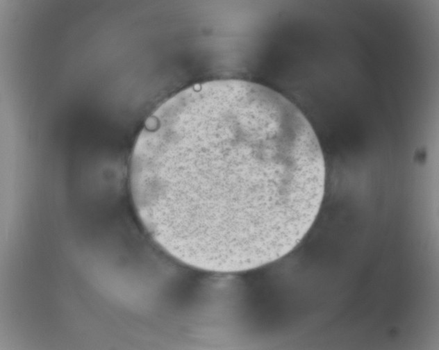 X0000113150427200910161225