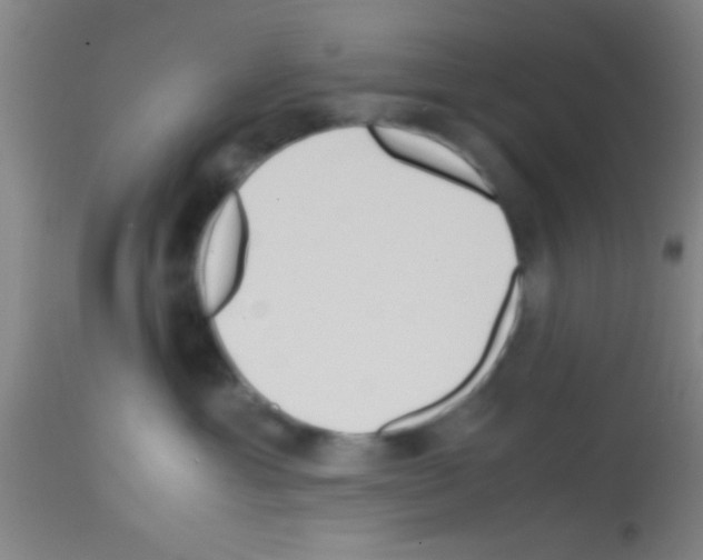 X0000113150429200910161225