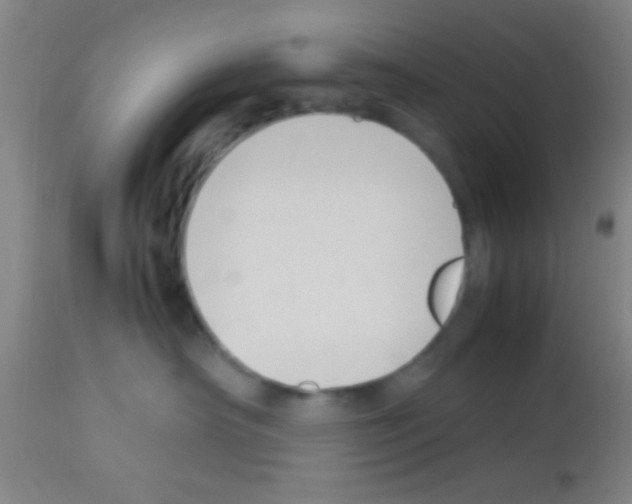 X0000113150430200910161225