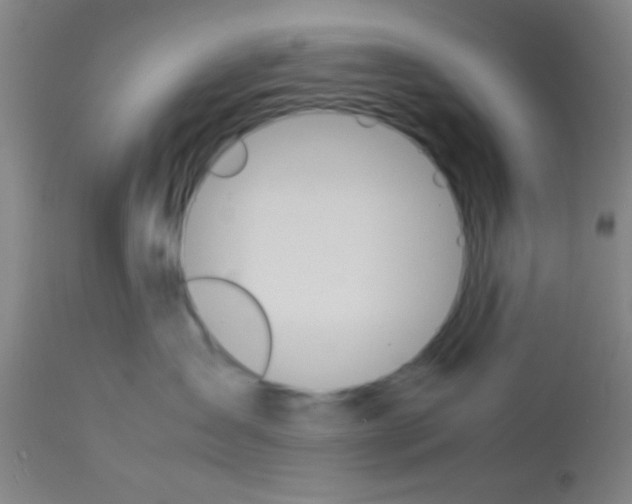 X0000113150431200910161225