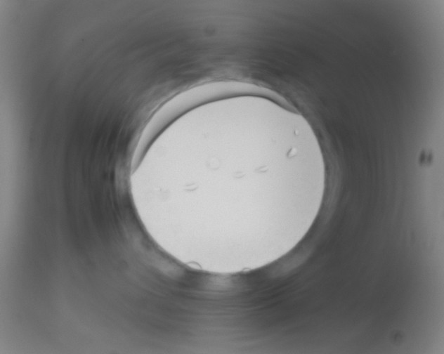 X0000113150432200910161225