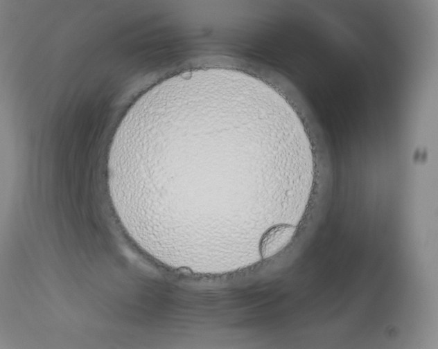 X0000113150433200910161224