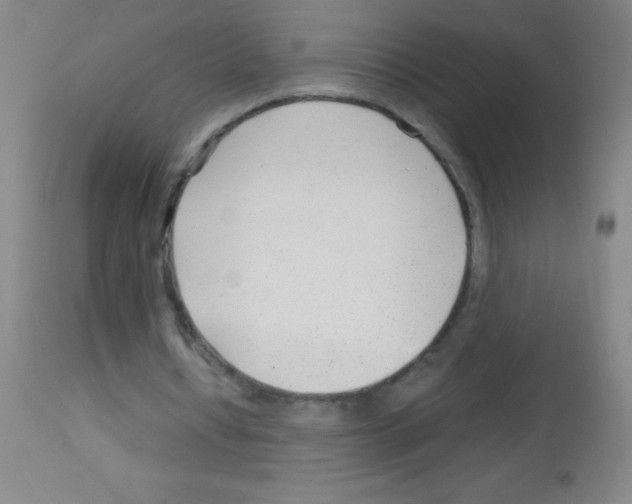 X0000113150434200910161224