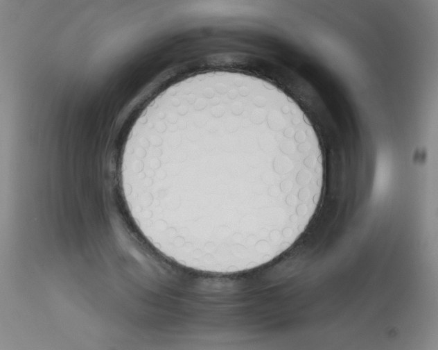 X0000113150435200910161224