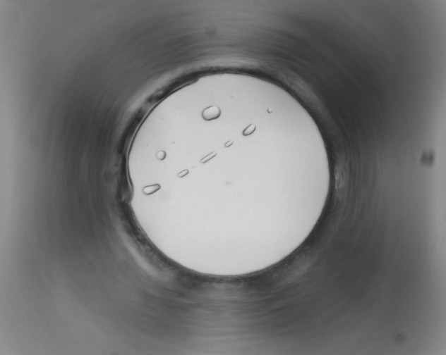 X0000113150436200910161224