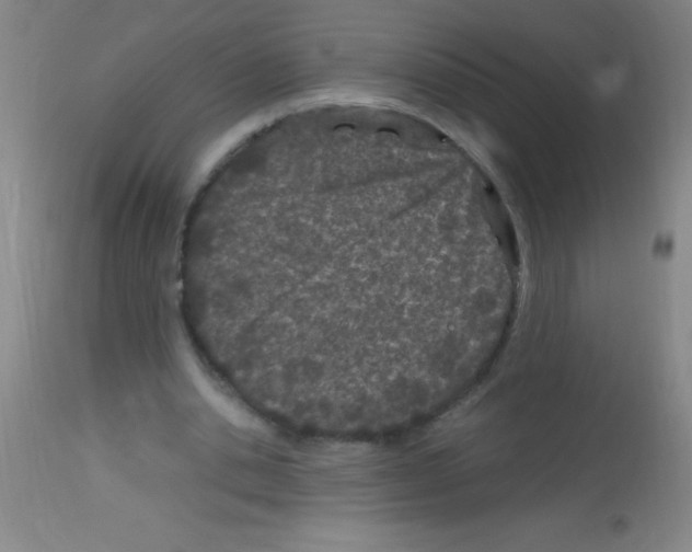 X0000113150438200910161224