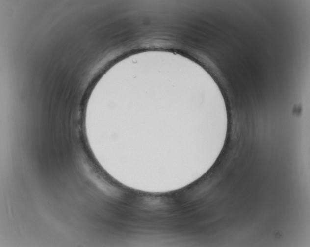 X0000113150439200910161224