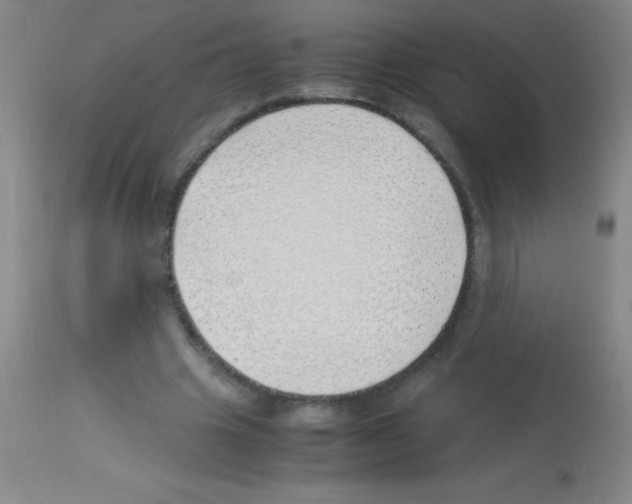 X0000113150441200910161224