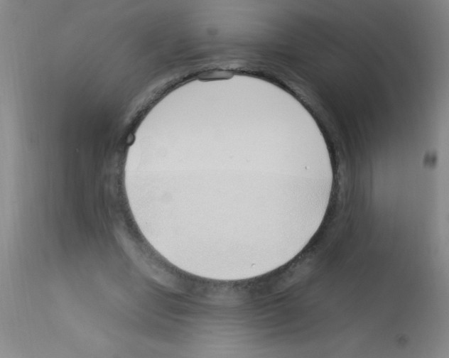 X0000113150442200910161224