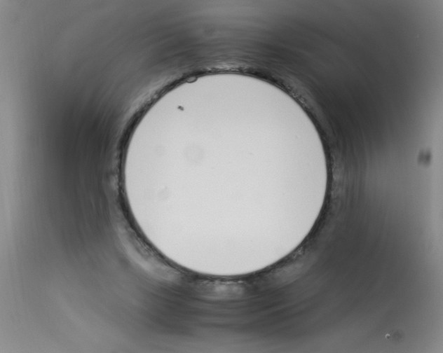 X0000113150443200910161224