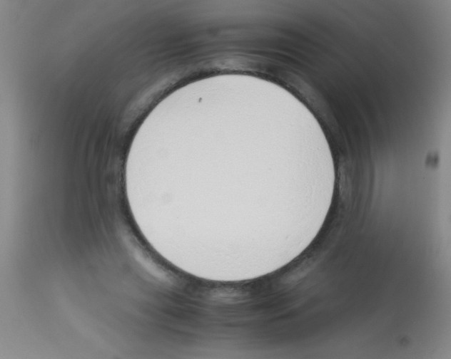 X0000113150445200910161224